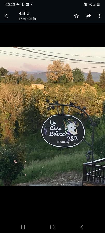 La Casa Di Bacco B&B Lerma Buitenkant foto