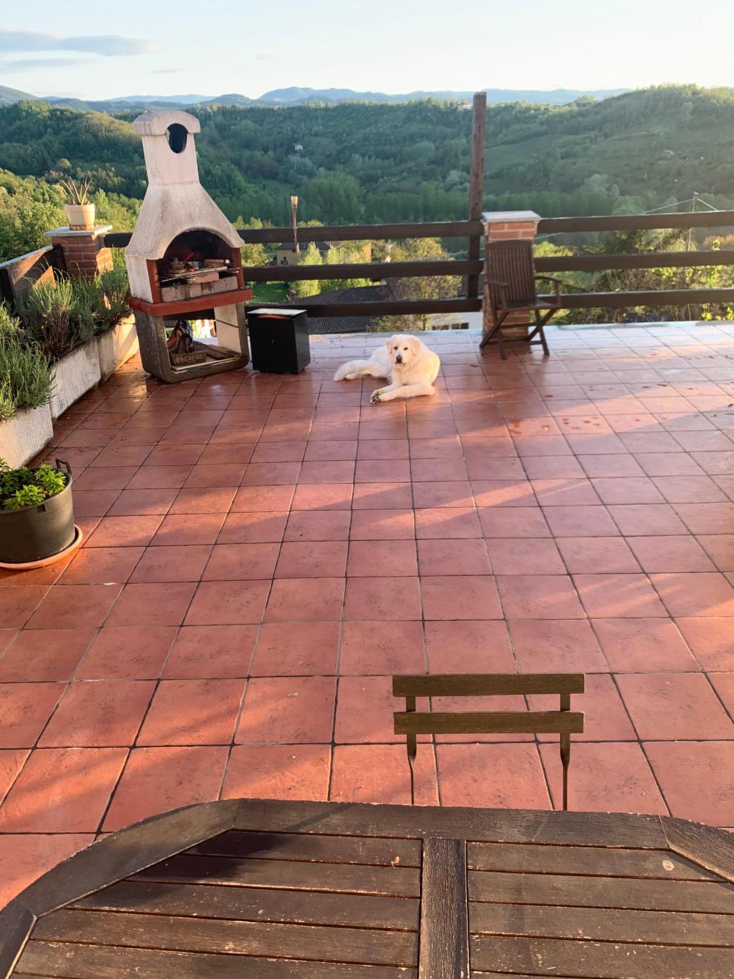 La Casa Di Bacco B&B Lerma Buitenkant foto